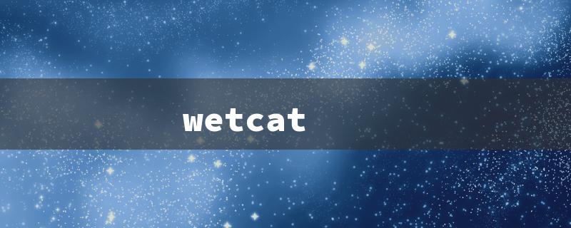 wetcat（Wetcat Hair Textures）