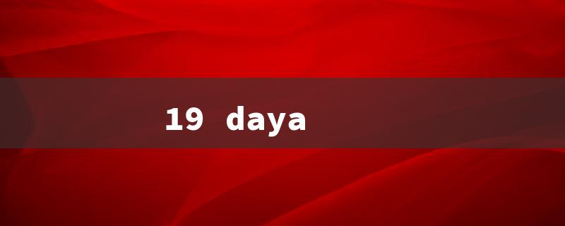 19 daya（19 Days: Title Word Limit - 15 Characters）