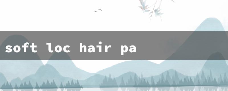 soft loc hair packs（Loc Hair Packs Nearby）