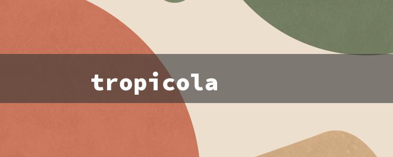 tropicola（Tropical Delight）