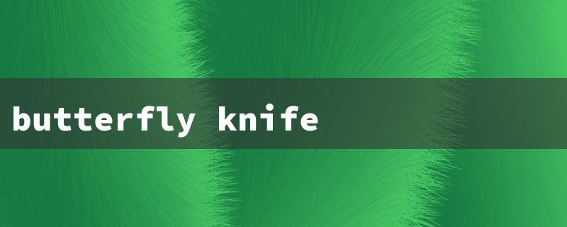 butterfly knife practice（Practice Blade for Butterfly Knife）