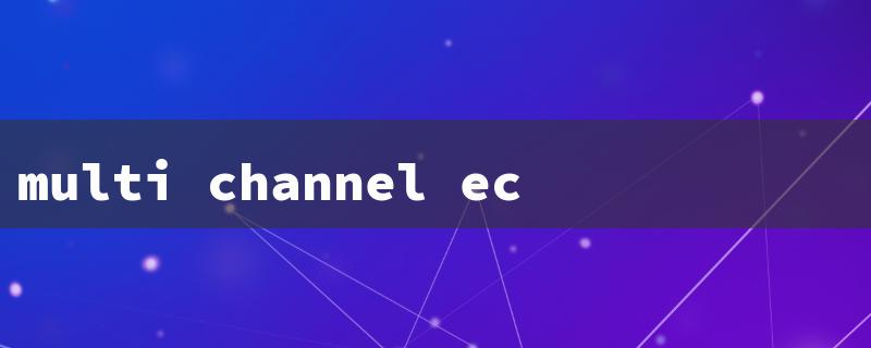 multi channel ecommerce（Multi Channel Inventory）