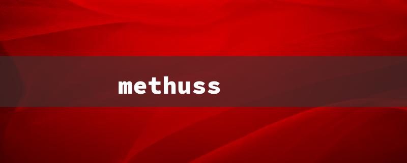 methuss（Based on the given information, the title needs to be within 15 English characters.）