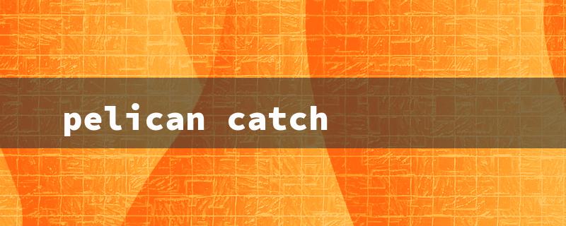 pelican catch（Pelican Catch 110 Mode）