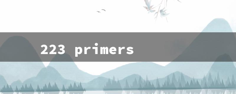 223 primers（223 Primer Size）