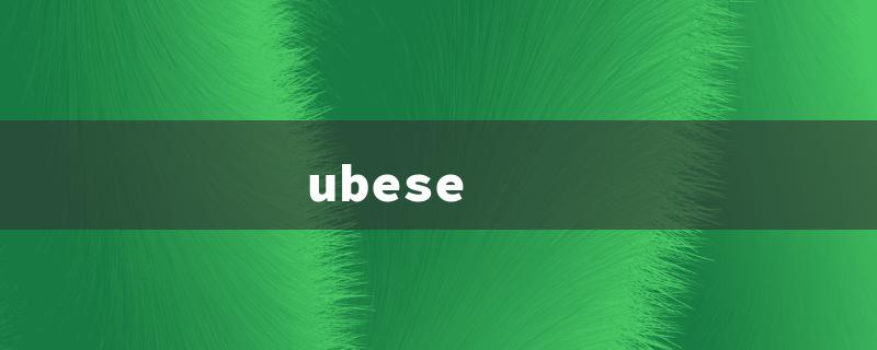 ubese（ubesekara hair oil）