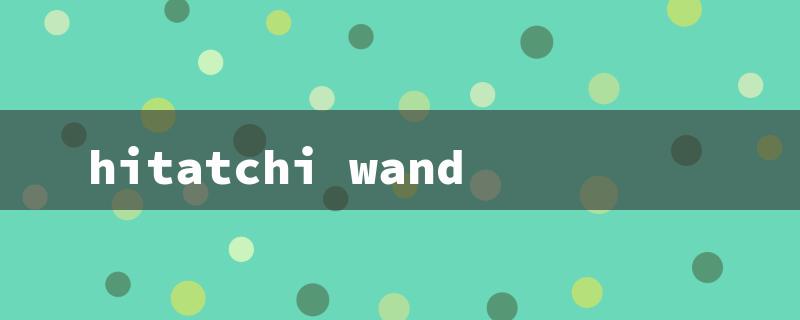 hitatchi wand（Hitachi Wand Earrings）