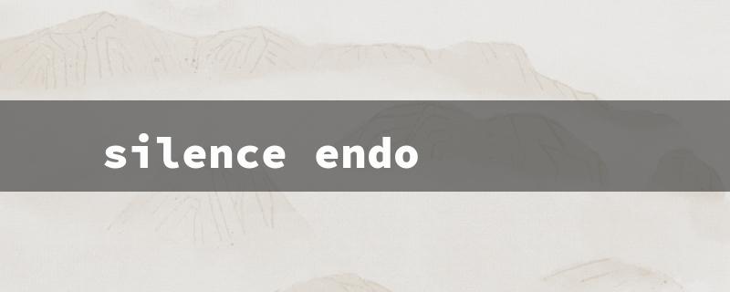 silence endo