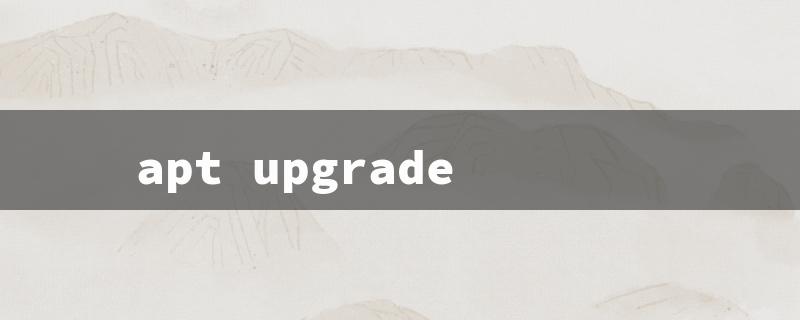 apt upgrade（Upgrade Package Query: Title Word Limit 15 Characters）