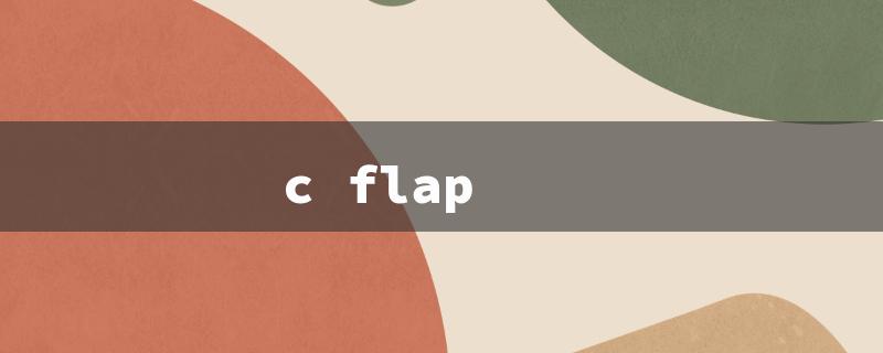 c flap（C Flap Helmet Title Character Limit）