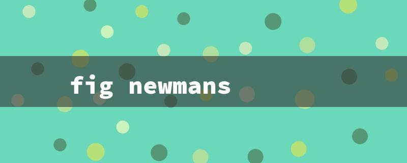 fig newmans（Fig Newmans vs Fig Newts）