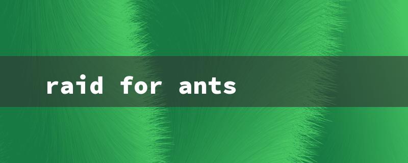 raid for ants（Ant Raid Outdoors）