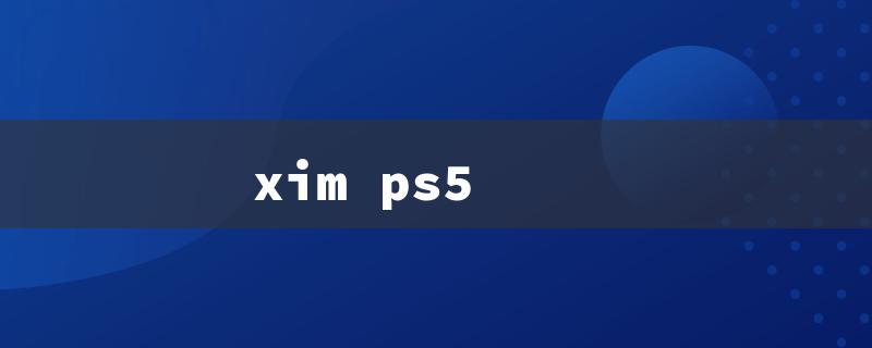 xim ps5（XIM PS5 Adapter）