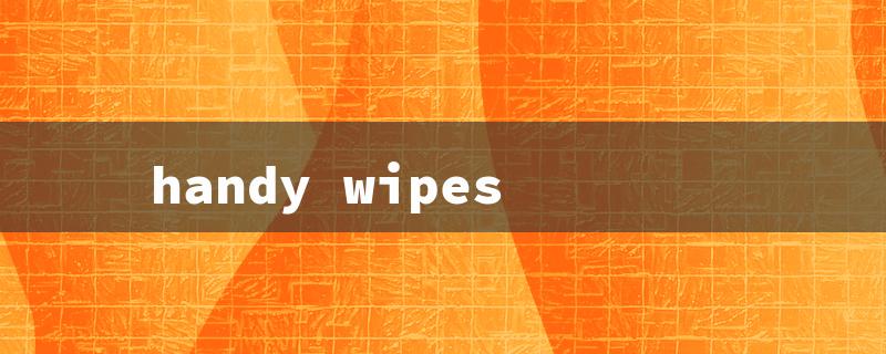 handy wipes（Handi Wipes Query）