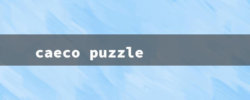 caeco puzzle（Ceaco Puzzles: Title Word Limit - 15 Characters）