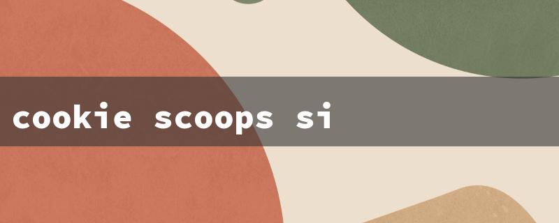 cookie scoops sizes（Cookie Scoop Sizes）