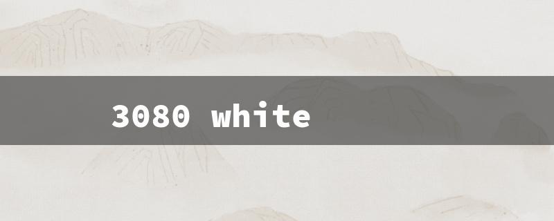 3080 white（3080 Strix White）