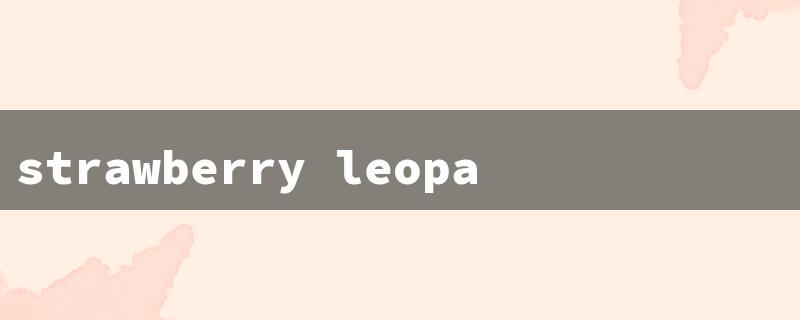 strawberry leopard lilac glow（Strawbrry Leo Lilac Glow）