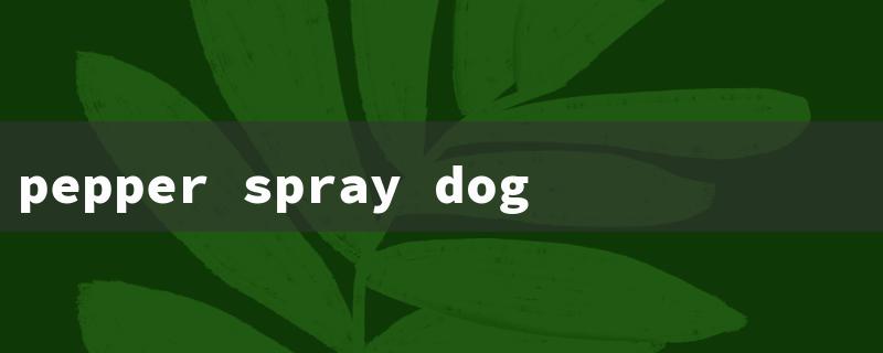 pepper spray dog（Dog Spray: 15-Character Title Requirement）