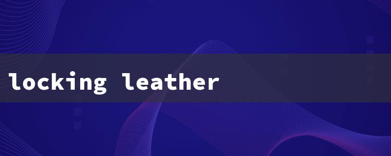 locking leather holster