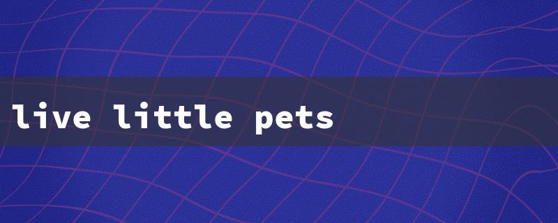 live little pets（Pet Hamster: Live Little Pets）