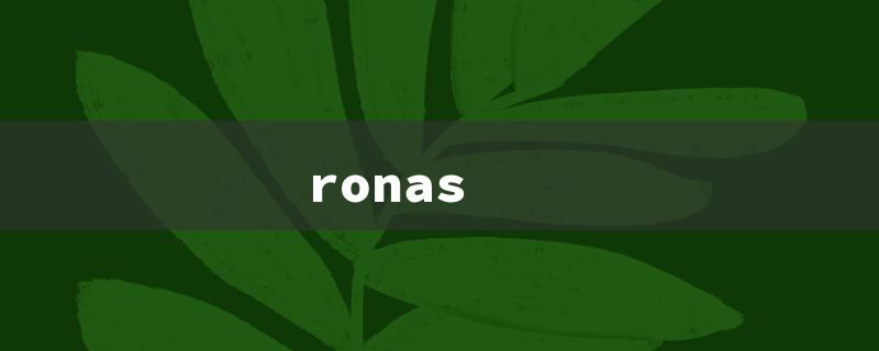 ronas（Corona IT: Title Word Limit - 15 Characters）