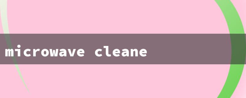 microwave cleaner lady（Quick & Easy Microwave Cleaner）