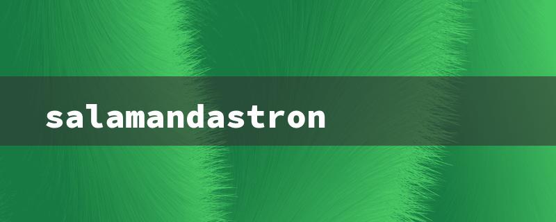 salamandastron（Salamandastron Cast）