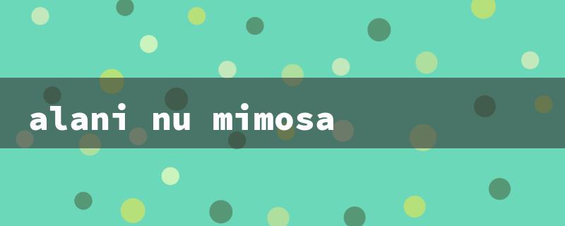 alani nu mimosa（Alani Nu Mimosa Flavor）