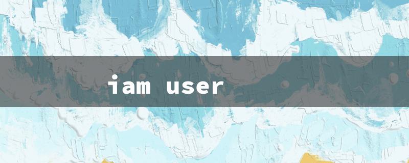 iam user（IAM User vs. Role）