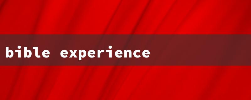 bible experience（Bible Orlando Quest）