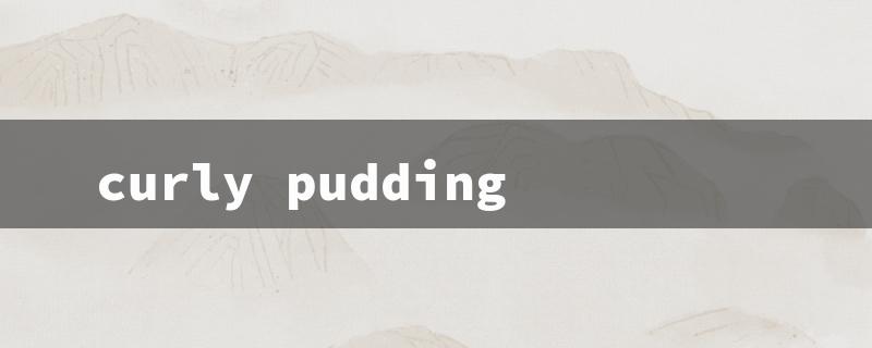 curly pudding（Curly Pudding Reviews）