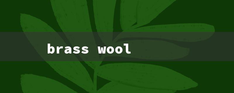 brass wool（Home Depot Brass Wool）