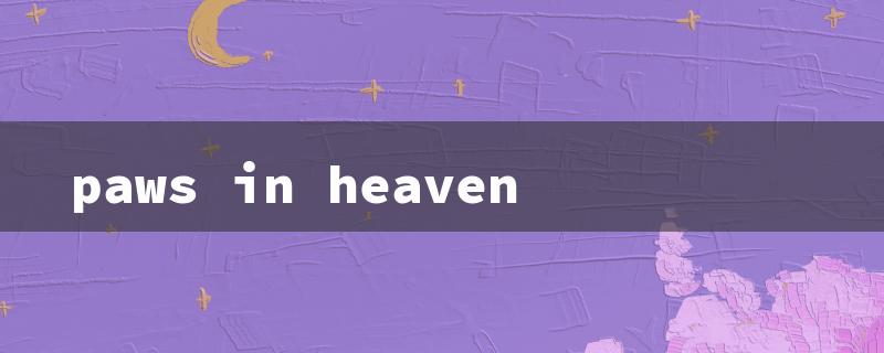 paws in heaven（Paws in Heaven: Columbia MO）