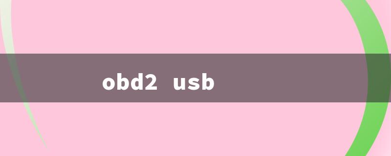 obd2 usb（OBD2 USB: Title Word Limit - 15 Characters）