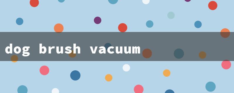 dog brush vacuum attachment（Dog Brush Vac Dyson）