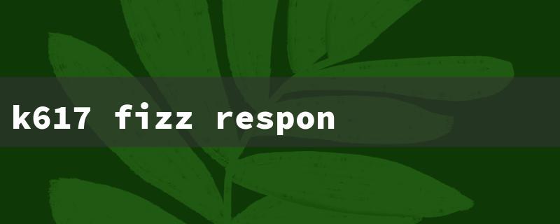 k617 fizz response time