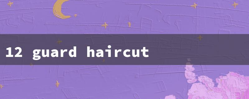 12 guard haircut（12 Guard Buzz Cut）