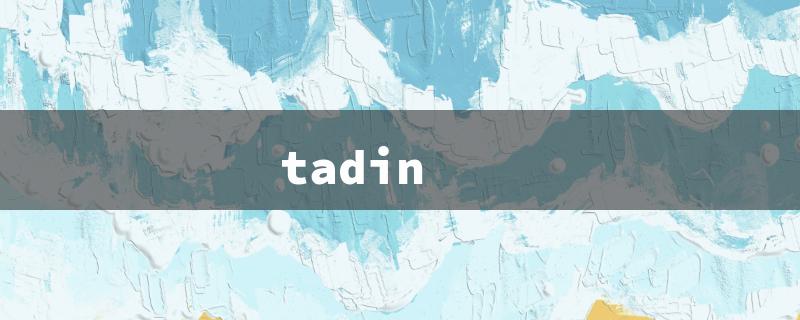 tadin（Based on the given information, the title words should be limited to 15 English characters.）