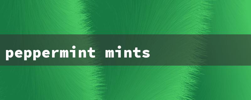 peppermint mints（Peppermint Mints Recipe）