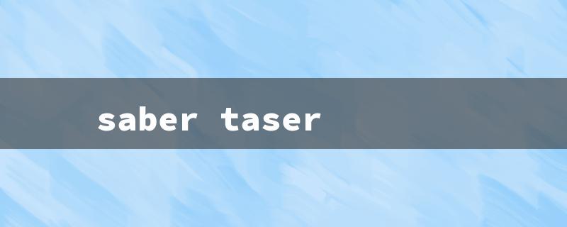 saber taser（Saber Taser Flash）