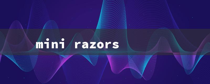 mini razors（Face Razors）