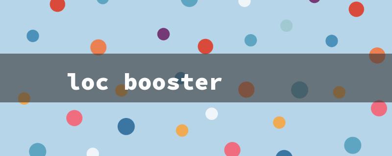 loc booster（Loc Booster Stylist）