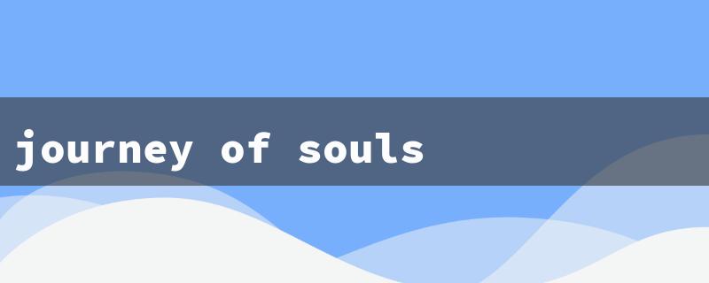 journey of souls book