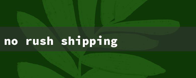 no rush shipping（Fast Shipping Benefits）