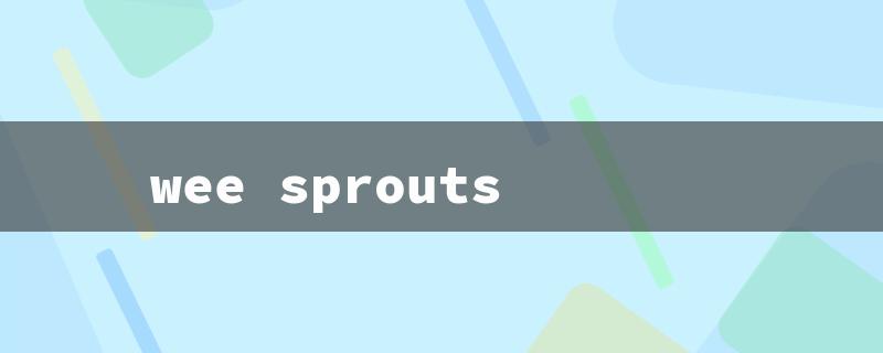 wee sprouts（Small Plates for Kids）