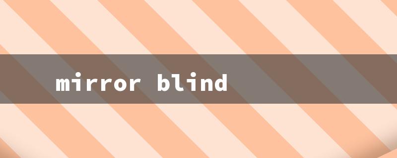 mirror blind（Mirror Blind Spot）