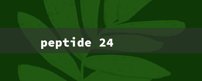 peptide 24（Peptide 24 Explained）