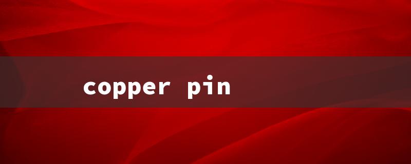 copper pin（Copper Pin Riddle: Word Limit 15!）