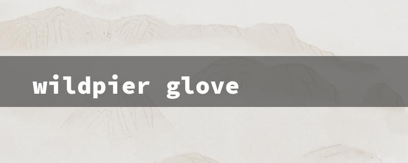 wildpier glove